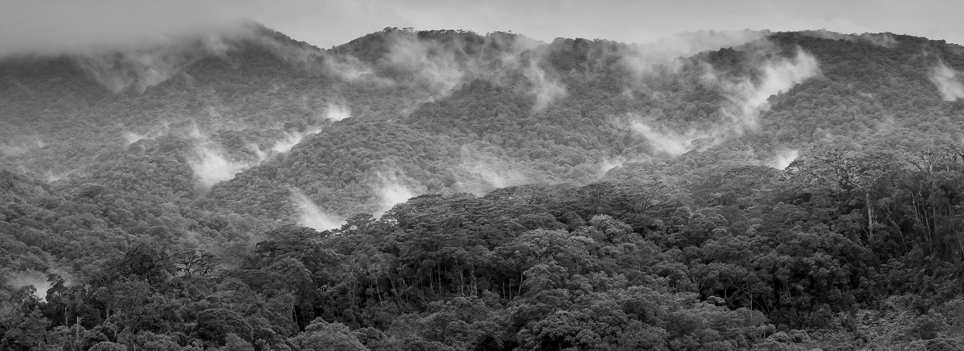 Foto von Quang Nguyen Vinh